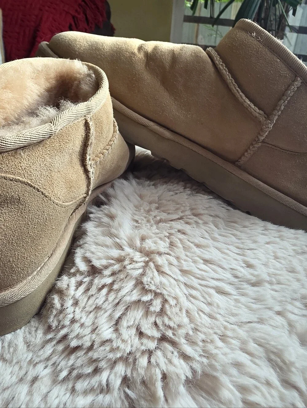 UGG Mini Booties in Chestnut Suede Size Usa 10